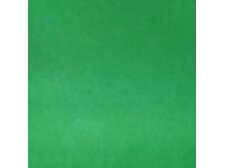 WISSMACH 319 Corella limetková zelená